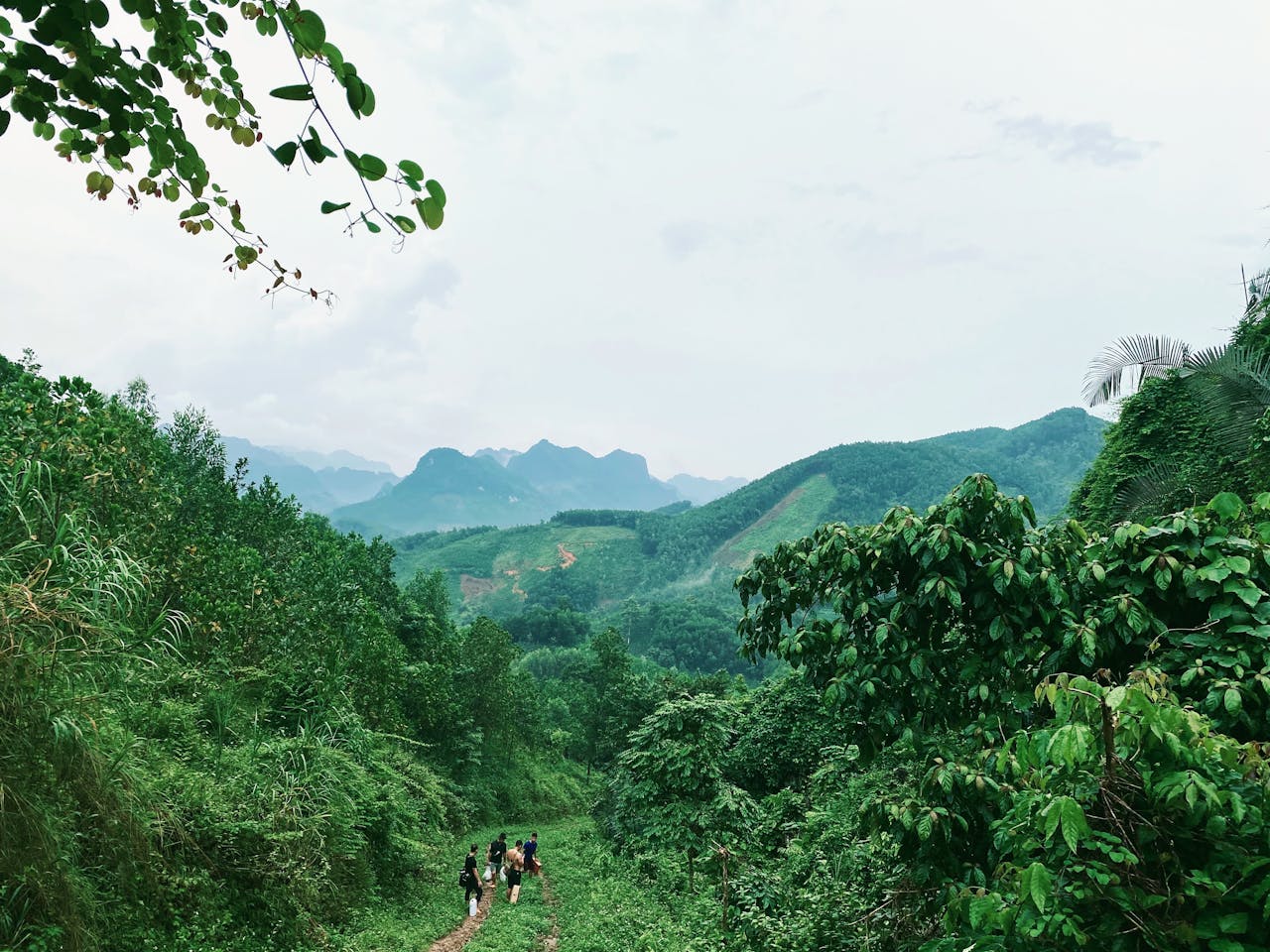 A group hiking in a vibrant green mountain landscape with a stunning view.