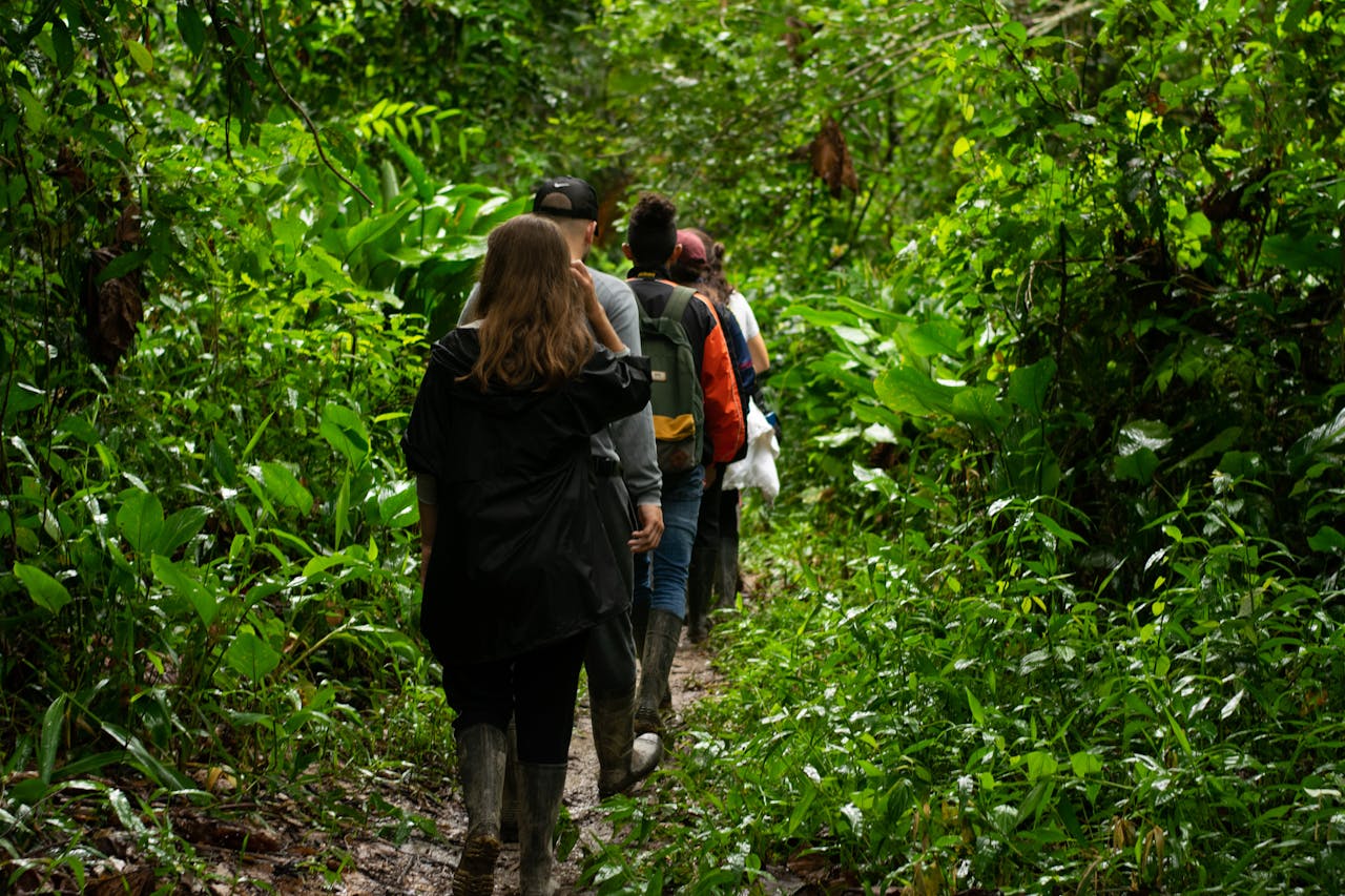 Hikers walking through vibrant, dense foliage in Manacapuru, Brazil.