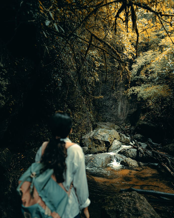 A woman with a backpack explores a lush, mystical forest trail surrounded by vibrant foliage.