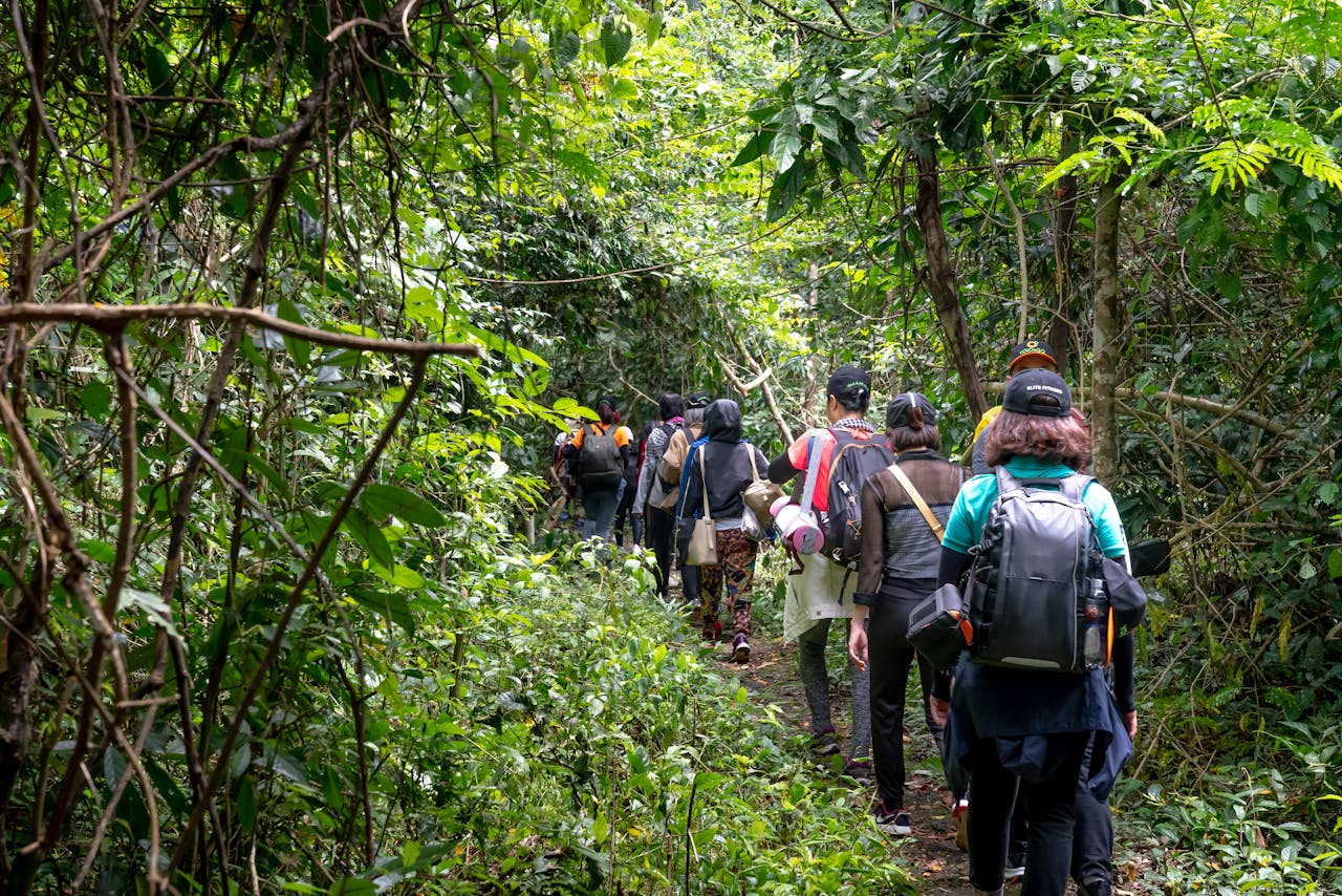 Back view of unrecognizable backpackers strolling on pathway between lush greenery in tropical woods